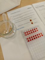 Activité pratiques : Détermination de groupes sanguins d'échantillons (...)